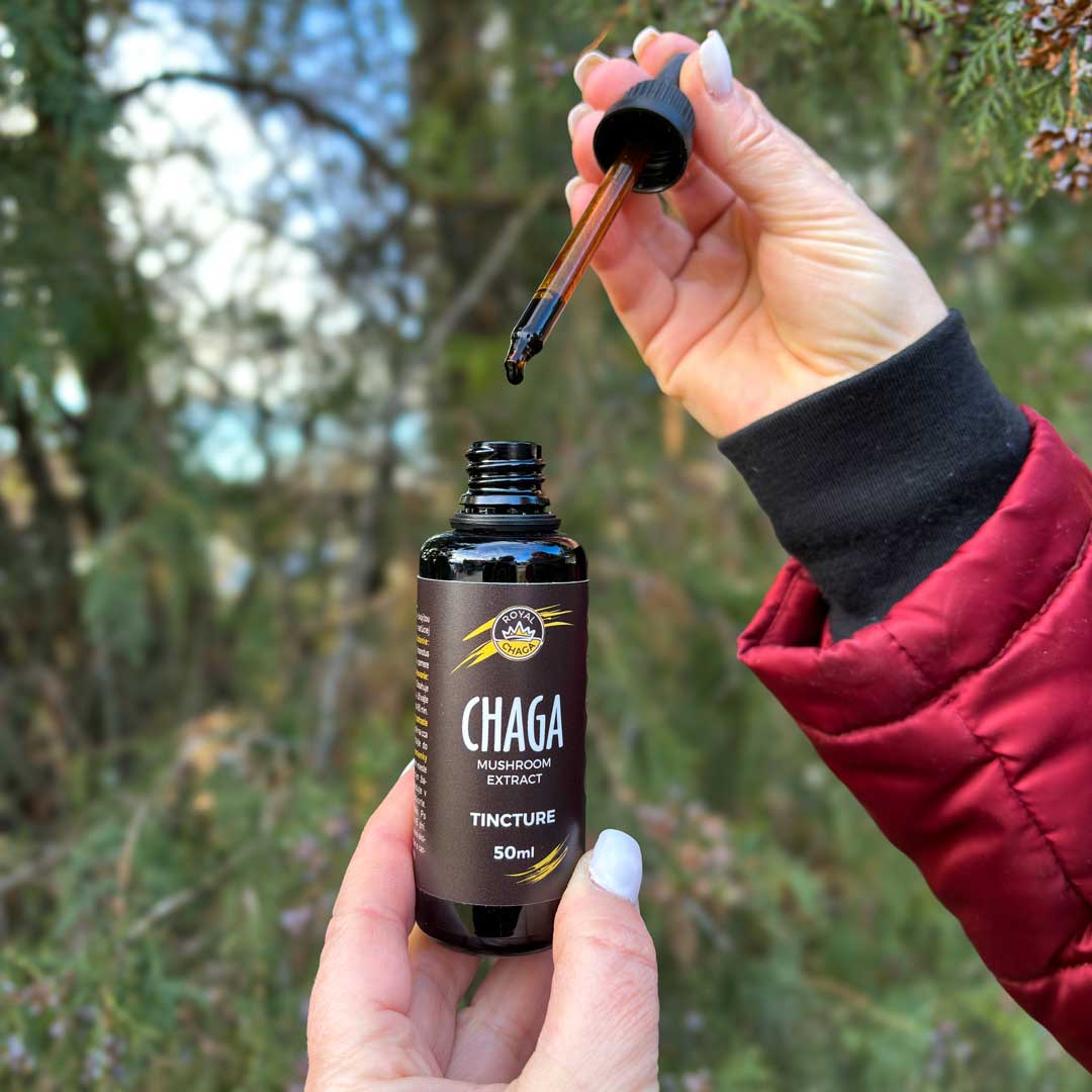 Chaga tincture